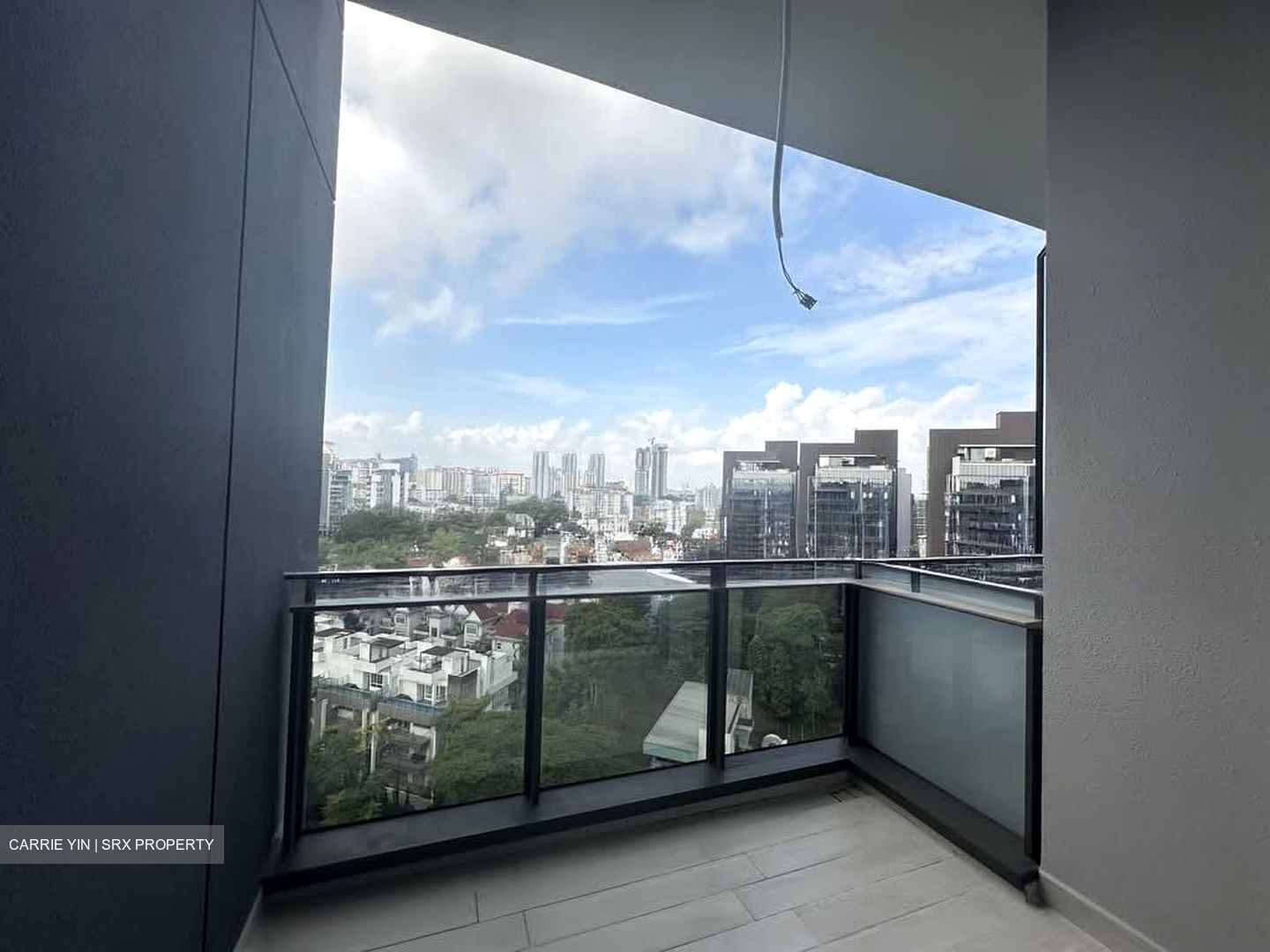 Leedon Green (D10), Condominium #548143521